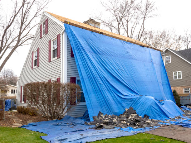 Best Basement Cleanout  in Greenwood, DE